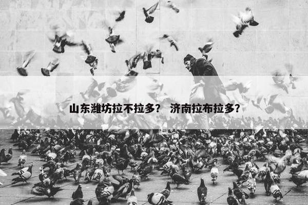 山东潍坊拉不拉多？ 济南拉布拉多？