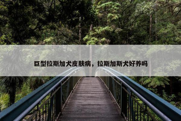 巨型拉斯加犬皮肤病，拉斯加斯犬好养吗