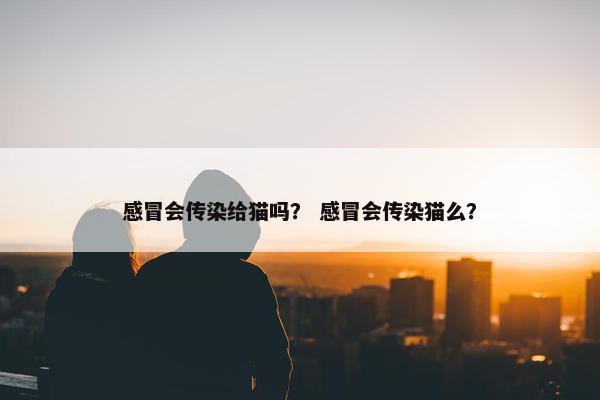 感冒会传染给猫吗？ 感冒会传染猫么？