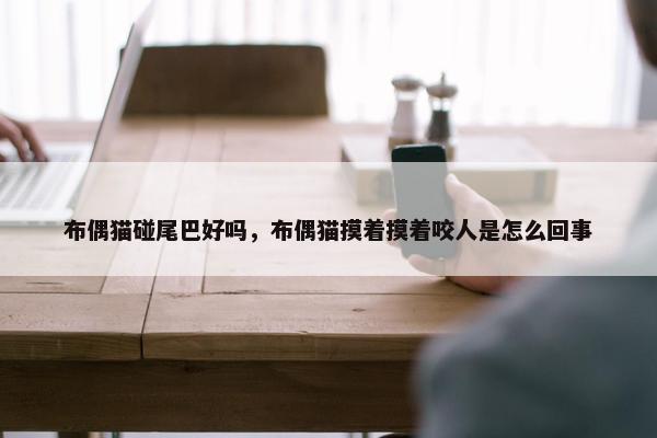 布偶猫碰尾巴好吗，布偶猫摸着摸着咬人是怎么回事