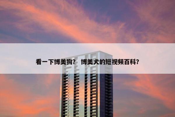 看一下博美狗？ 博美犬的短视频百科？