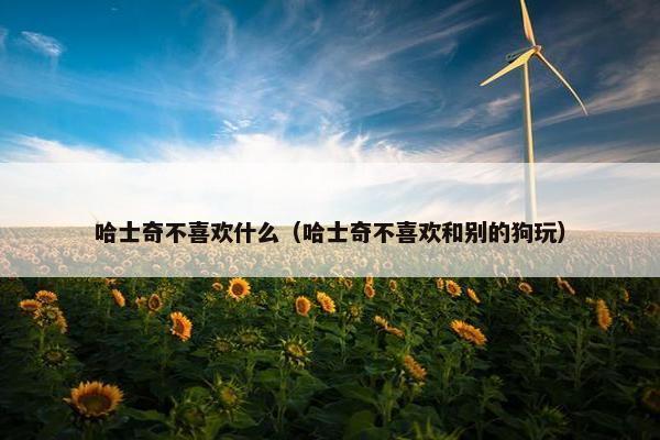 哈士奇不喜欢什么（哈士奇不喜欢和别的狗玩）
