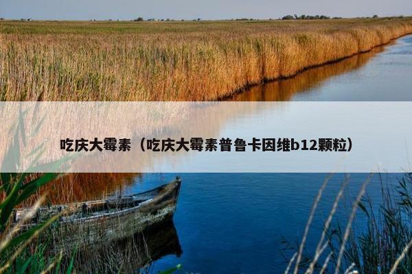 吃庆大霉素（吃庆大霉素普鲁卡因维b12颗粒）