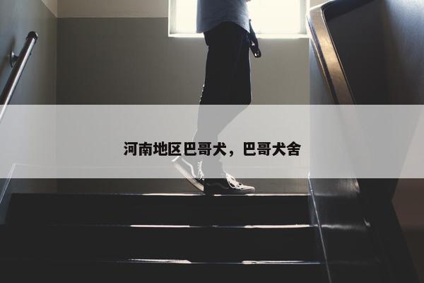 河南地区巴哥犬，巴哥犬舍