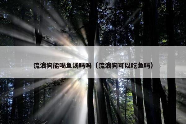 流浪狗能喝鱼汤吗吗（流浪狗可以吃鱼吗）