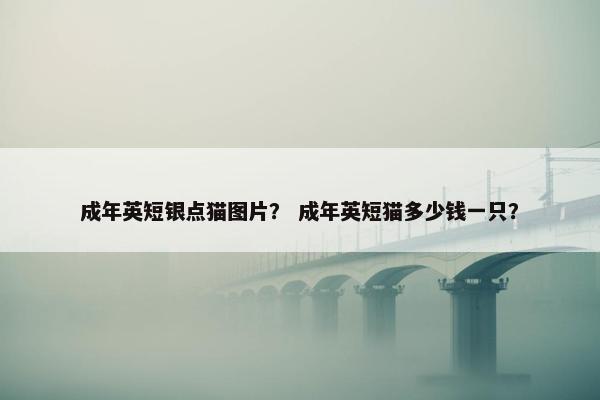 成年英短银点猫图片？ 成年英短猫多少钱一只？