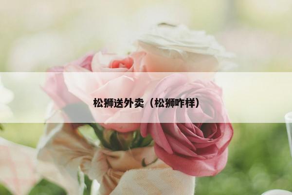 松狮送外卖（松狮咋样）