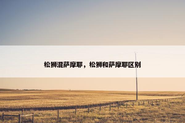 松狮混萨摩耶，松狮和萨摩耶区别