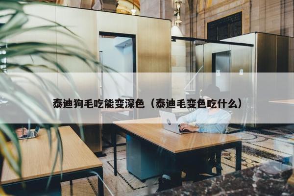 泰迪狗毛吃能变深色（泰迪毛变色吃什么）