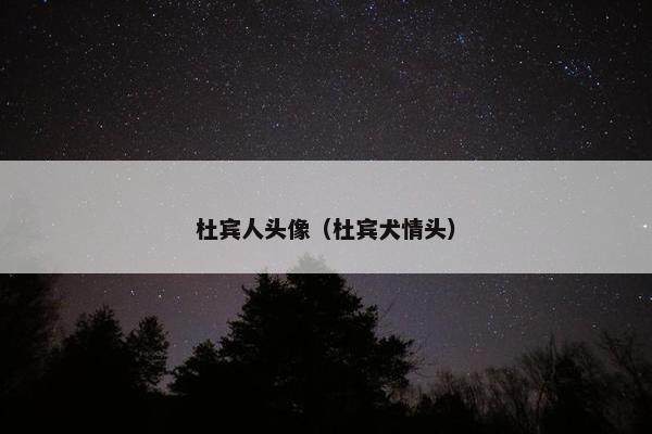 杜宾人头像（杜宾犬情头）