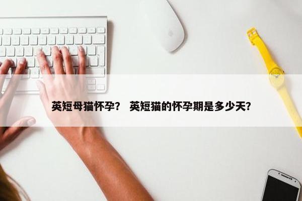 英短母猫怀孕？ 英短猫的怀孕期是多少天？