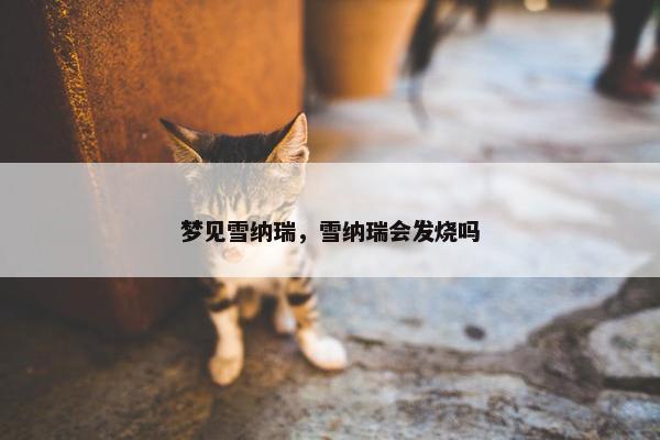 梦见雪纳瑞，雪纳瑞会发烧吗
