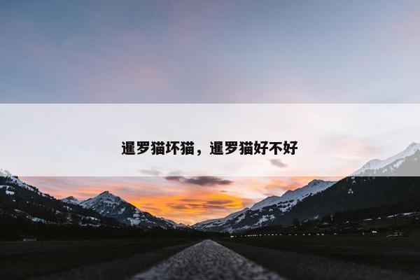 暹罗猫坏猫，暹罗猫好不好