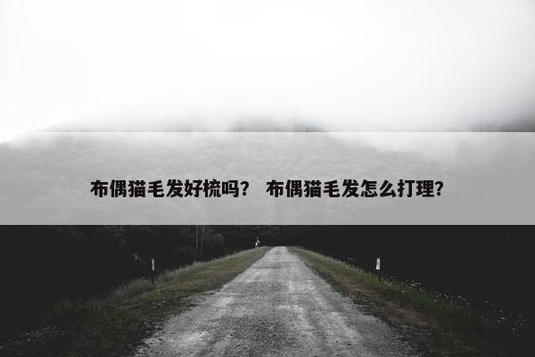 布偶猫毛发好梳吗？ 布偶猫毛发怎么打理？