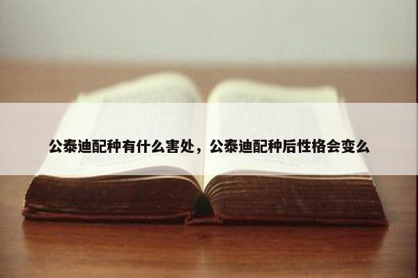 公泰迪配种有什么害处，公泰迪配种后性格会变么
