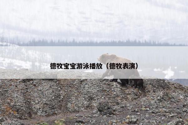 德牧宝宝游泳播放（德牧表演）