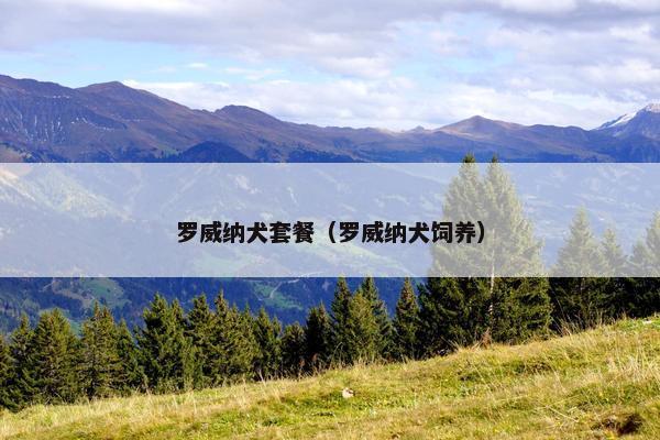 罗威纳犬套餐（罗威纳犬饲养）