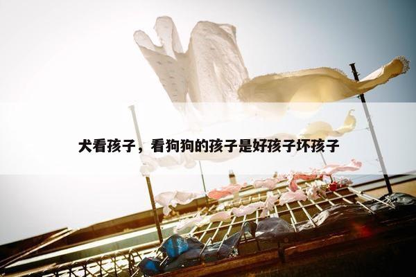 犬看孩子，看狗狗的孩子是好孩子坏孩子