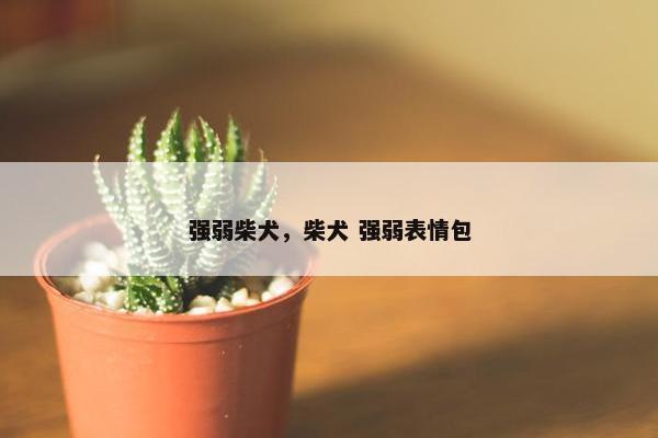 强弱柴犬，柴犬 强弱表情包