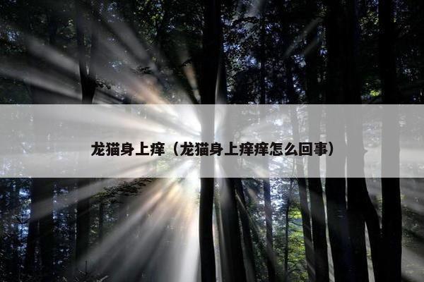 龙猫身上痒（龙猫身上痒痒怎么回事）