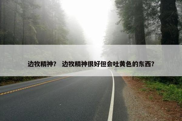 边牧精神？ 边牧精神很好但会吐黄色的东西？