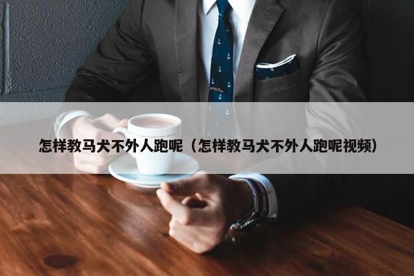 怎样教马犬不外人跑呢（怎样教马犬不外人跑呢视频）