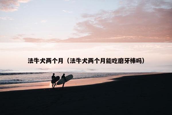 法牛犬两个月（法牛犬两个月能吃磨牙棒吗）