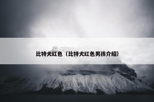 比特犬红色（比特犬红色男孩介绍）