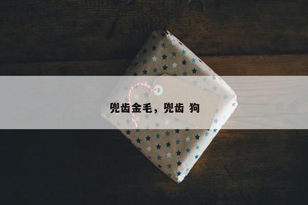兜齿金毛，兜齿 狗