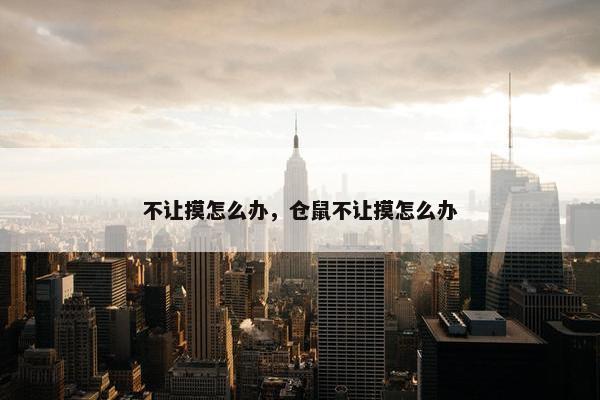 不让摸怎么办，仓鼠不让摸怎么办