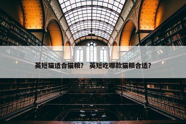 英短猫适合猫粮？ 英短吃哪款猫粮合适？