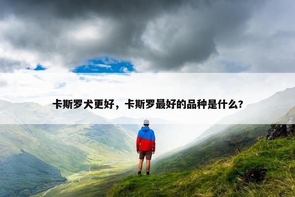 卡斯罗犬更好，卡斯罗最好的品种是什么?