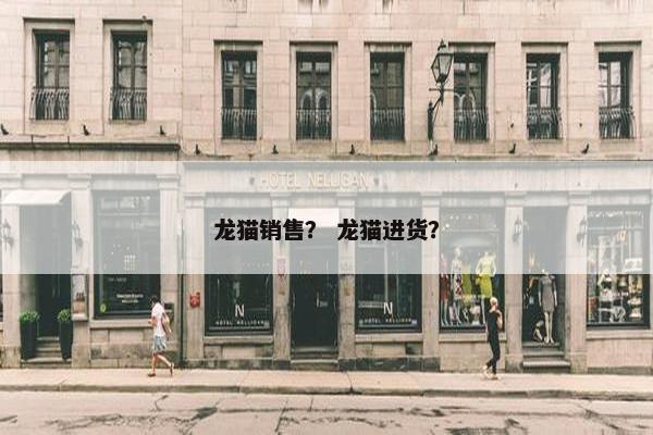 龙猫销售？ 龙猫进货？