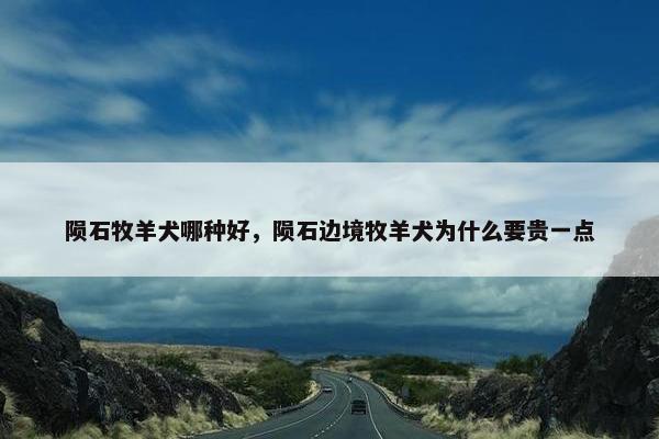 陨石牧羊犬哪种好，陨石边境牧羊犬为什么要贵一点