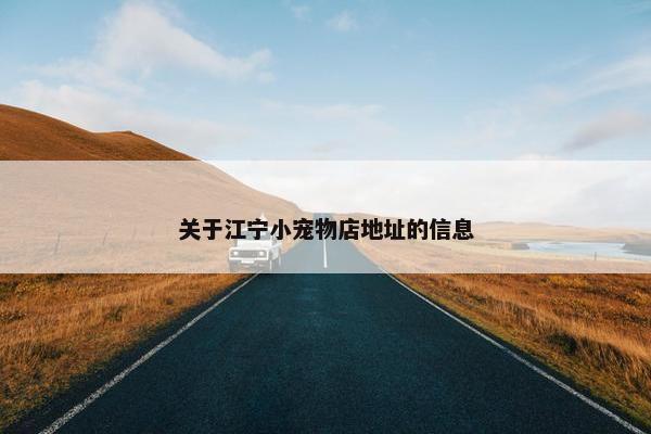 关于江宁小宠物店地址的信息