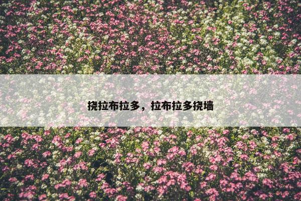 挠拉布拉多，拉布拉多挠墙