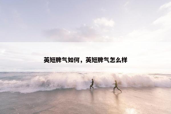 英短脾气如何，英短脾气怎么样
