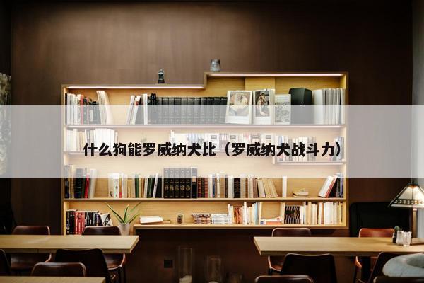 什么狗能罗威纳犬比（罗威纳犬战斗力）