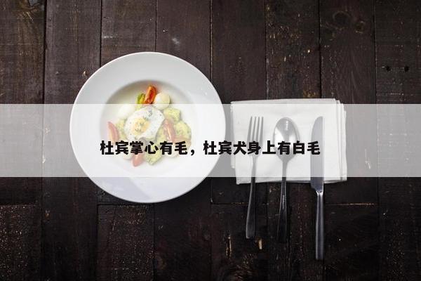 杜宾掌心有毛，杜宾犬身上有白毛