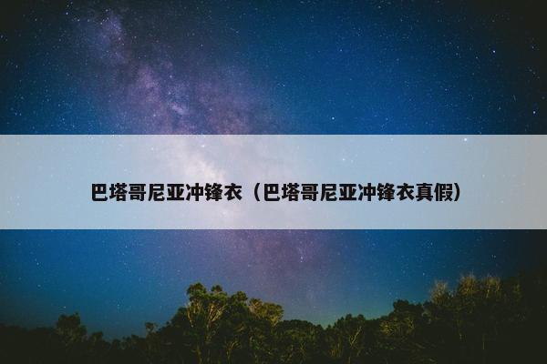 巴塔哥尼亚冲锋衣（巴塔哥尼亚冲锋衣真假）