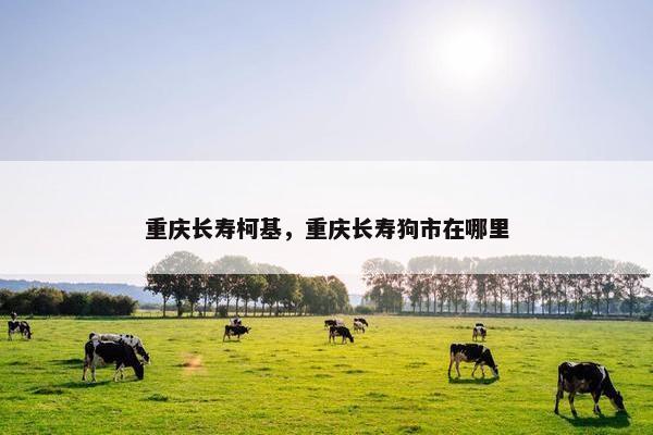 重庆长寿柯基，重庆长寿狗市在哪里