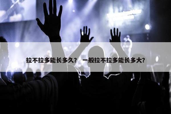 拉不拉多能长多久？ 一般拉不拉多能长多大？