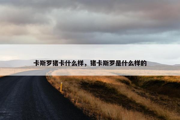 卡斯罗猪卡什么样，猪卡斯罗是什么样的