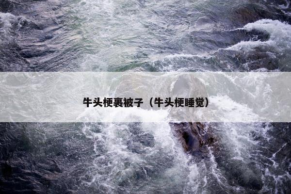 牛头梗裹被子（牛头梗睡觉）