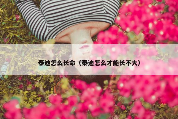 泰迪怎么长命（泰迪怎么才能长不大）