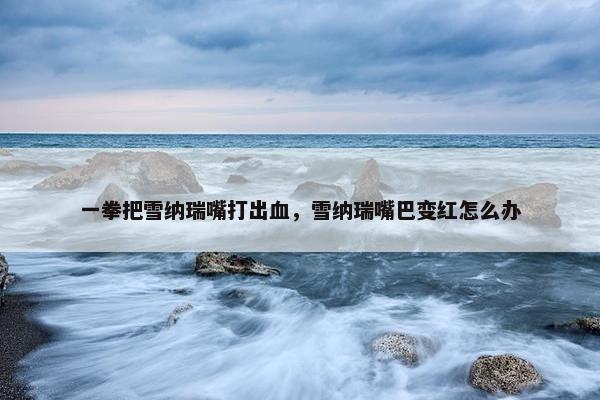 一拳把雪纳瑞嘴打出血，雪纳瑞嘴巴变红怎么办
