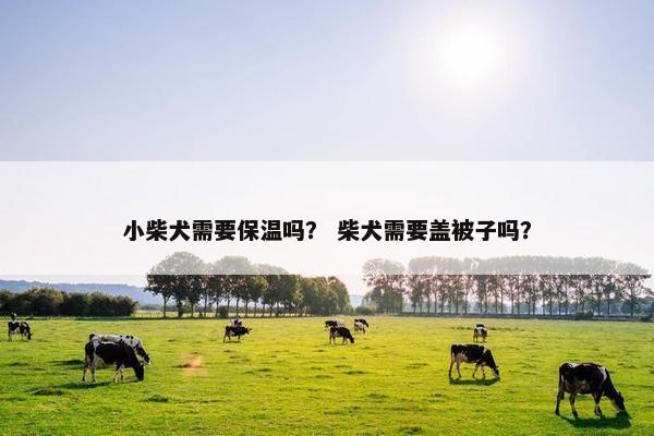 小柴犬需要保温吗？ 柴犬需要盖被子吗？