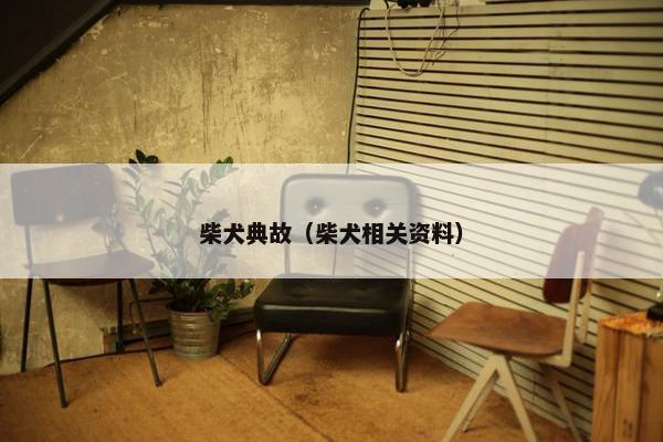柴犬典故（柴犬相关资料）