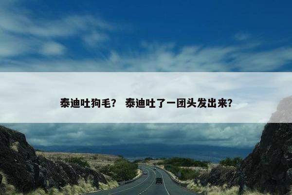泰迪吐狗毛？ 泰迪吐了一团头发出来？