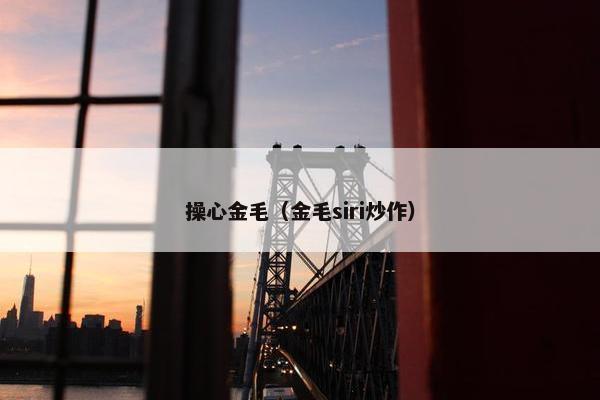 操心金毛（金毛siri炒作）